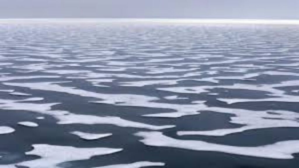 Ocean ice is melting day by day