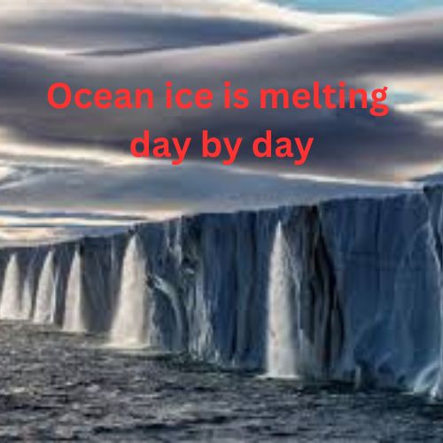 Ocean ice is melting day by day